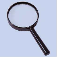 Экспертиза