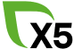 15 лет X5